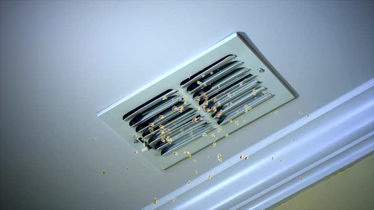 Best Affordable Air Duct Cleaning  in Dublin, TX